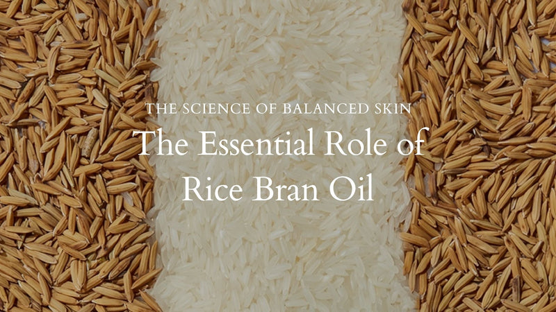 The Science of Balanced Skin: The Essential Role of Rice Bran Oil